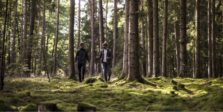 Coaching in der Natur mit Jan Hecht.