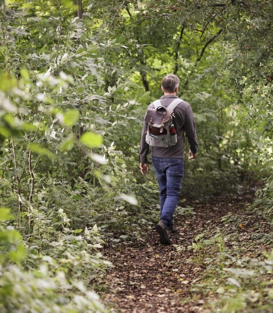 Jan Hecht taucht in die Natur ab und setzt seinen Weg fort ins unbekannte Grün. Natur Coaching. Life Coaching. Nachhaltigkeit.